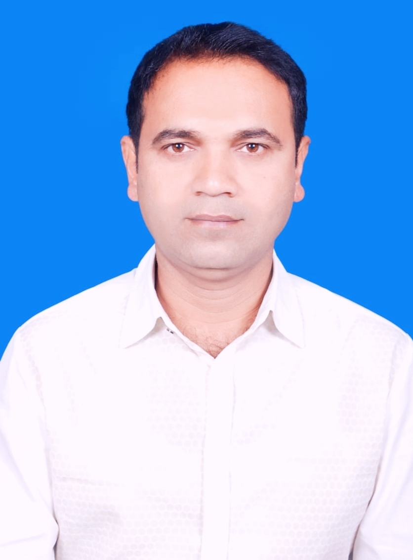 পার্থ রায়